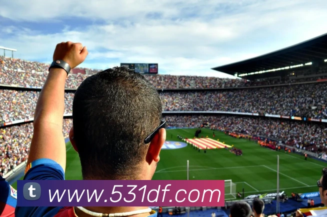 互动解说服务
